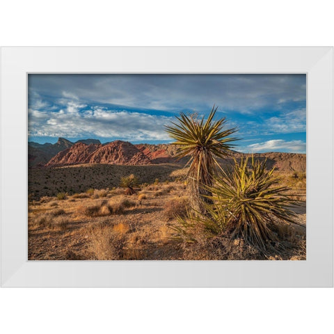 Red Rock Canyon National Conservation Area near Las Vegas-Nevada White Modern Wood Framed Art Print by Fitzharris, Tim