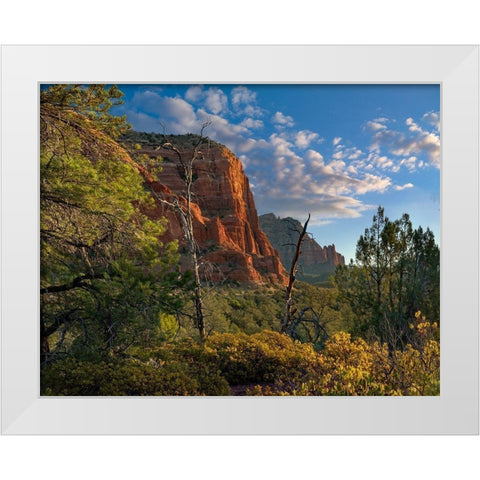 Coconino National Forest near Sedona-Arizona-USA White Modern Wood Framed Art Print by Fitzharris, Tim