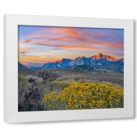 Sierra Nevada from Owens Valley-California-USA White Modern Wood Framed Art Print by Fitzharris, Tim