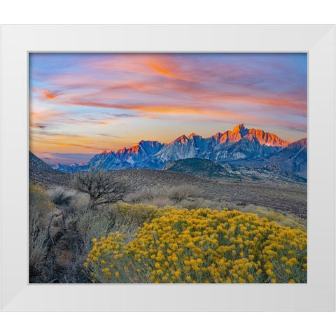 Sierra Nevada from Owens Valley-California-USA White Modern Wood Framed Art Print by Fitzharris, Tim