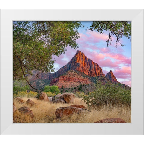 The Watchman-Zion National Park-Utah-USA White Modern Wood Framed Art Print by Fitzharris, Tim