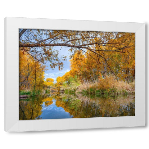 Verde River near Camp Verde-Arizona-USA White Modern Wood Framed Art Print by Fitzharris, Tim