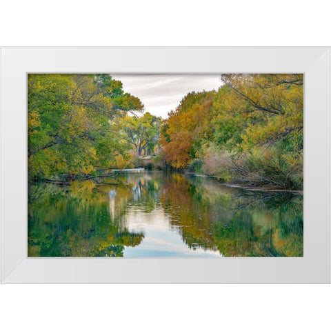 Verde River near Camp Verde-Arizona-USA White Modern Wood Framed Art Print by Fitzharris, Tim