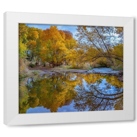 Verde River near Camp Verde-Arizona-USA White Modern Wood Framed Art Print by Fitzharris, Tim