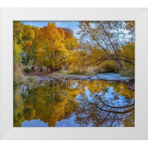 Verde River near Camp Verde-Arizona-USA White Modern Wood Framed Art Print by Fitzharris, Tim