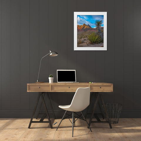 Red Rock Canyon National Conservation Area near Las Vegas-Nevada White Modern Wood Framed Art Print by Fitzharris, Tim