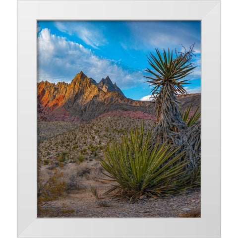 Red Rock Canyon National Conservation Area near Las Vegas-Nevada White Modern Wood Framed Art Print by Fitzharris, Tim