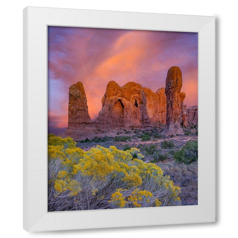 Parade of the Elephants sandstone formation-Arches National Park-Utah White Modern Wood Framed Art Print by Fitzharris, Tim