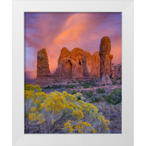 Parade of the Elephants sandstone formation-Arches National Park-Utah White Modern Wood Framed Art Print by Fitzharris, Tim