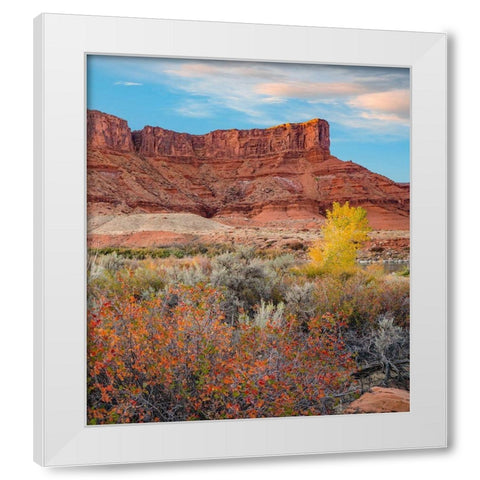 Porcupine Canyon on Colorado River near Castle Valley-Utah White Modern Wood Framed Art Print by Fitzharris, Tim