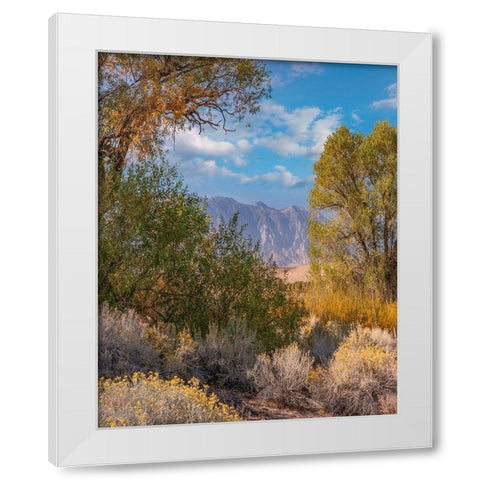 Sierra Nevada-Owens Valley-California-USA White Modern Wood Framed Art Print by Fitzharris, Tim