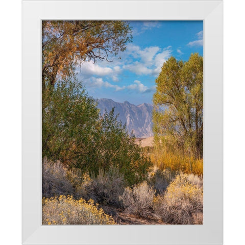 Sierra Nevada-Owens Valley-California-USA White Modern Wood Framed Art Print by Fitzharris, Tim