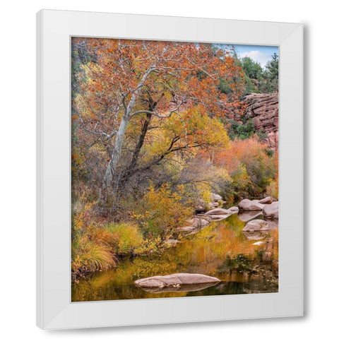 East Verde River-Arizona-USA White Modern Wood Framed Art Print by Fitzharris, Tim