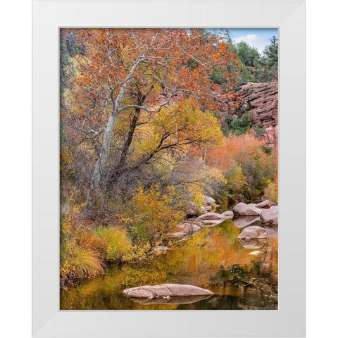 East Verde River-Arizona-USA White Modern Wood Framed Art Print by Fitzharris, Tim