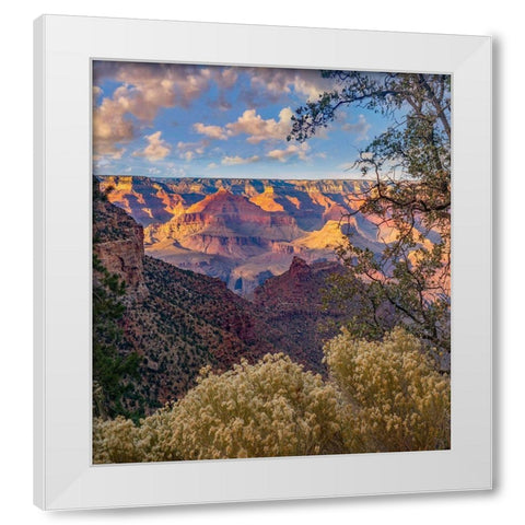 South Rim-Grand Canyon National Park-Arizona USA White Modern Wood Framed Art Print by Fitzharris, Tim