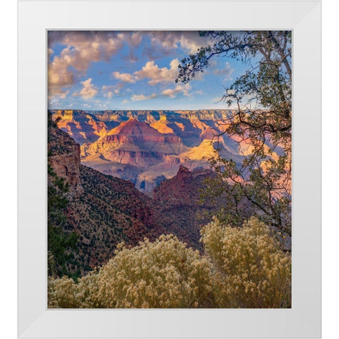 South Rim-Grand Canyon National Park-Arizona USA White Modern Wood Framed Art Print by Fitzharris, Tim