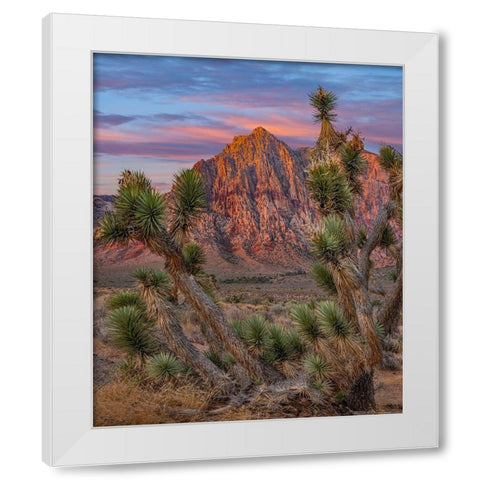 Red Rock Canyon National Conservation Area-Nevada-USA White Modern Wood Framed Art Print by Fitzharris, Tim