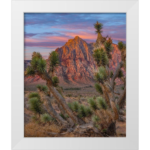 Red Rock Canyon National Conservation Area-Nevada-USA White Modern Wood Framed Art Print by Fitzharris, Tim