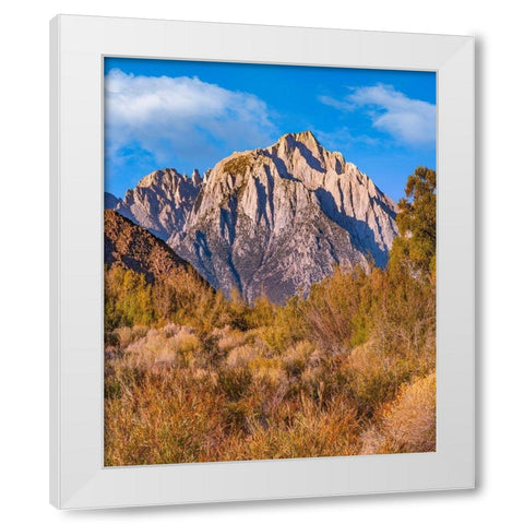 Lone Pine Peak from Tuttle Creek-Sierra Nevada-California-USA White Modern Wood Framed Art Print by Fitzharris, Tim