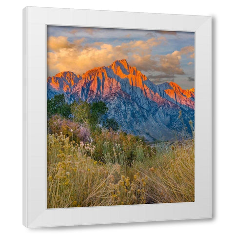 Lone Pine Peak-Eastern Sierra-California-USA White Modern Wood Framed Art Print by Fitzharris, Tim