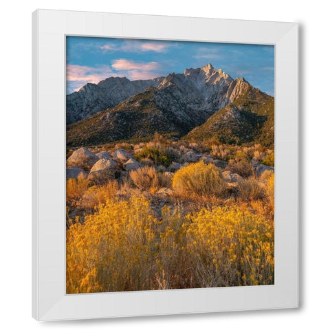 Lone Pine Peak-Eastern Sierra-California-USA White Modern Wood Framed Art Print by Fitzharris, Tim