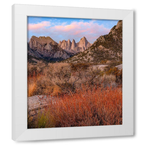 Mount Whitney-Eastern Sierra Nevada-California-USA White Modern Wood Framed Art Print by Fitzharris, Tim