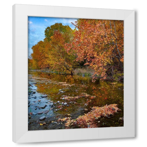 East Verde River-Arizona-USA White Modern Wood Framed Art Print by Fitzharris, Tim