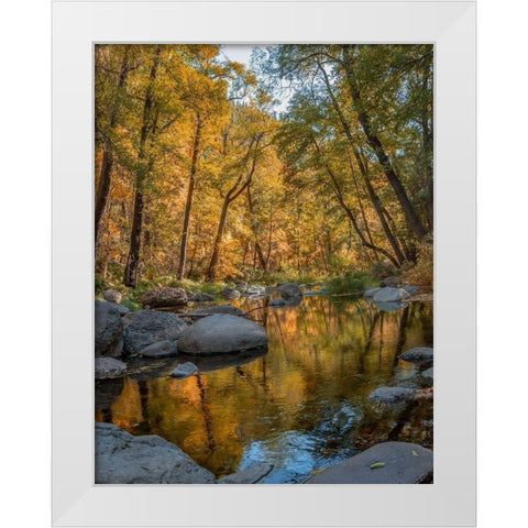 Oak Creek near Sedona-Arizona-USA White Modern Wood Framed Art Print by Fitzharris, Tim