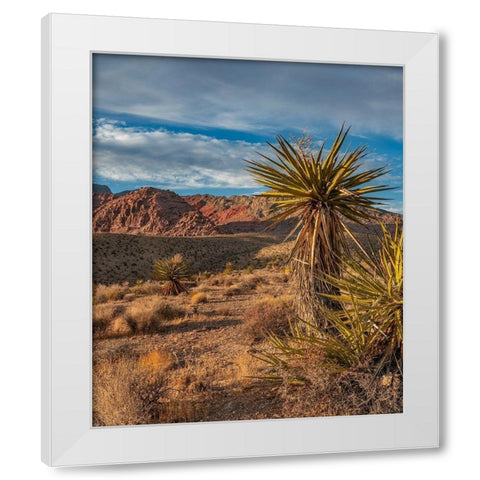 Red Rock Canyon National Conservation Area near Las Vegas-Nevada White Modern Wood Framed Art Print by Fitzharris, Tim