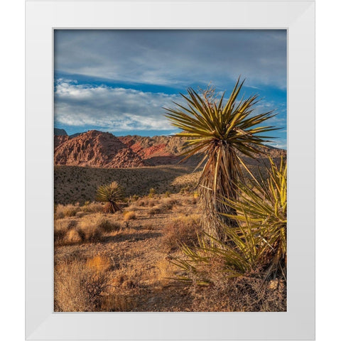 Red Rock Canyon National Conservation Area near Las Vegas-Nevada White Modern Wood Framed Art Print by Fitzharris, Tim