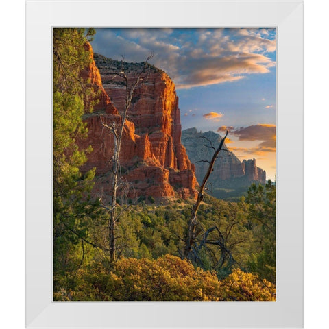 Coconino National Forest near Sedona-Arizona-USA White Modern Wood Framed Art Print by Fitzharris, Tim