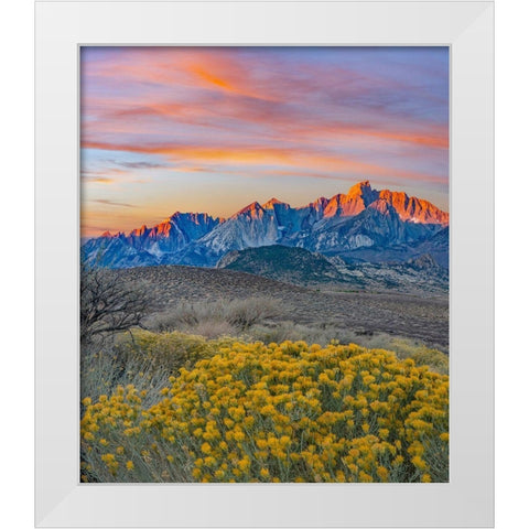 Sierra Nevada from Buttermilk Road near Bishop-California-USA White Modern Wood Framed Art Print by Fitzharris, Tim