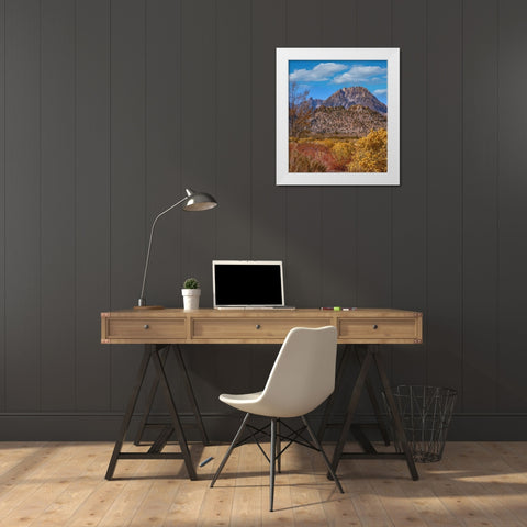 Sierra Nevada from Buttermilk Road near Bishop-California-USA White Modern Wood Framed Art Print by Fitzharris, Tim