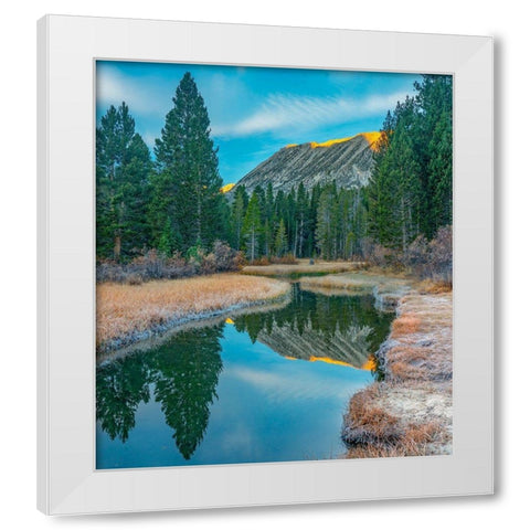 Rock Creek. Inyo National Forest-California-USA White Modern Wood Framed Art Print by Fitzharris, Tim