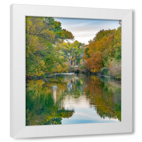 Verde River near Camp Verde-Arizona-USA White Modern Wood Framed Art Print by Fitzharris, Tim