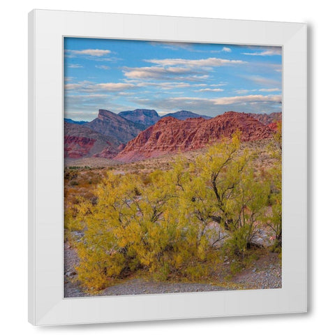 Calico Hills-Red Rock Canyon National Conservation Area-Nevada White Modern Wood Framed Art Print by Fitzharris, Tim