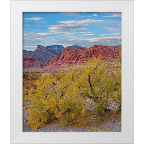 Calico Hills-Red Rock Canyon National Conservation Area-Nevada White Modern Wood Framed Art Print by Fitzharris, Tim