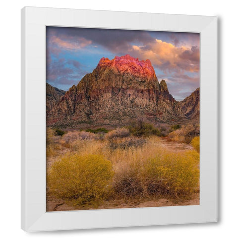 Spring Mountains-Red Rock Canyon National Conservation Area-Nevada White Modern Wood Framed Art Print by Fitzharris, Tim