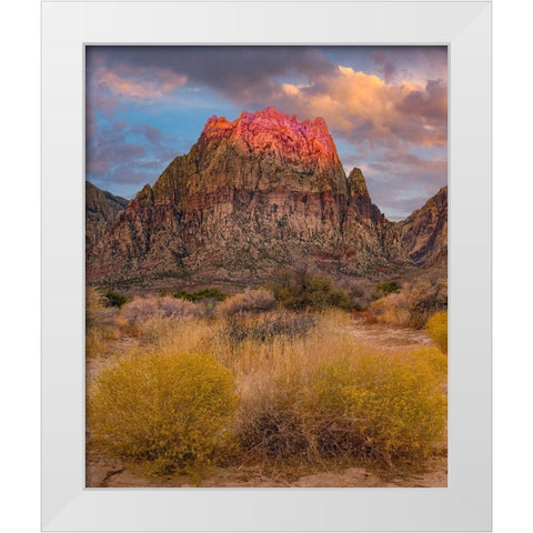 Spring Mountains-Red Rock Canyon National Conservation Area-Nevada White Modern Wood Framed Art Print by Fitzharris, Tim