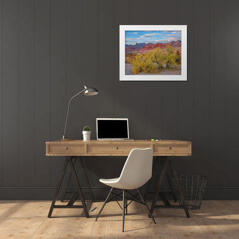 Spring Mountains-Red Rock Canyon National Conservation Area-Nevada White Modern Wood Framed Art Print by Fitzharris, Tim