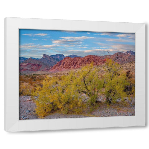 Spring Mountains-Red Rock Canyon National Conservation Area-Nevada White Modern Wood Framed Art Print by Fitzharris, Tim