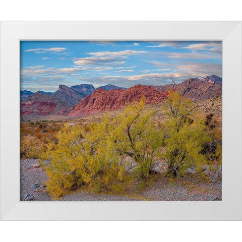 Spring Mountains-Red Rock Canyon National Conservation Area-Nevada White Modern Wood Framed Art Print by Fitzharris, Tim