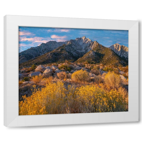 Lone Pine Peak-Eastern Sierra-California-USA White Modern Wood Framed Art Print by Fitzharris, Tim