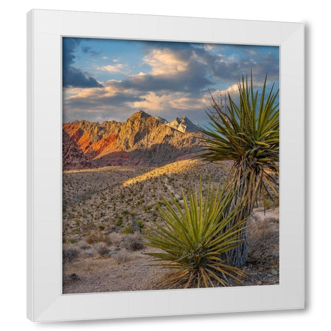 Red Rock Canyon National Conservation Area near Las Vegas-Nevada White Modern Wood Framed Art Print by Fitzharris, Tim