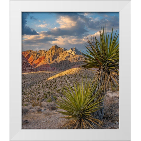 Red Rock Canyon National Conservation Area near Las Vegas-Nevada White Modern Wood Framed Art Print by Fitzharris, Tim