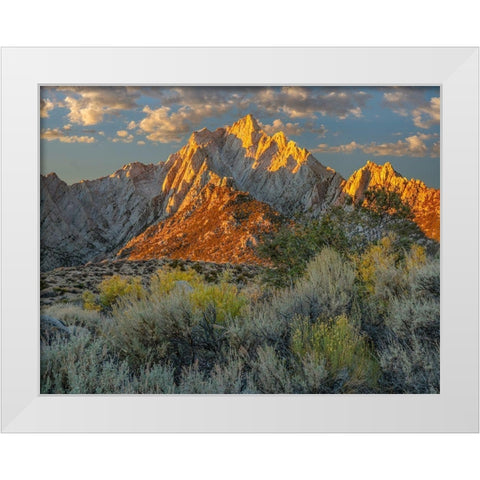 Lone Pine Peak from Tuttle Creek-Sierra Nevada-California-USA  White Modern Wood Framed Art Print by Fitzharris, Tim