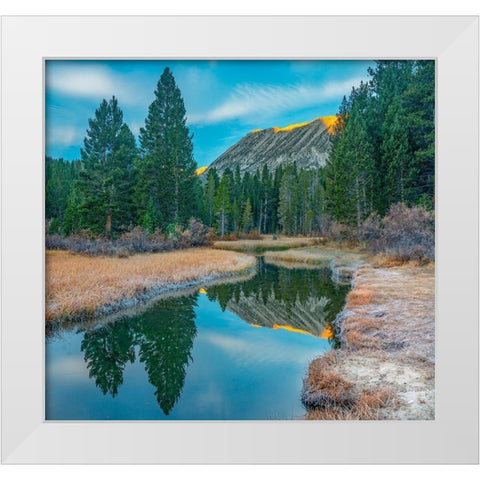 Rock Creek. Inyo National Forest-California-USA White Modern Wood Framed Art Print by Fitzharris, Tim