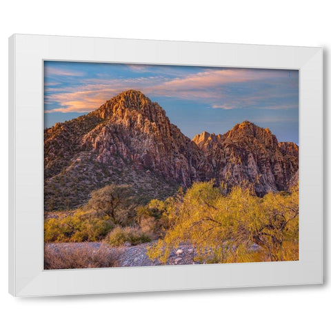 Willows and Wash-Red Rock Canyon-Nevada White Modern Wood Framed Art Print by Fitzharris, Tim