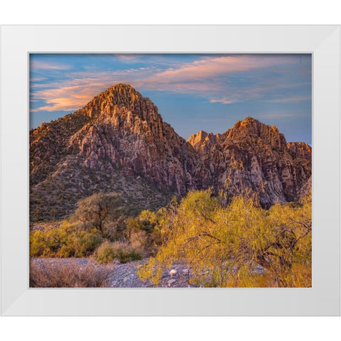 Willows and Wash-Red Rock Canyon-Nevada White Modern Wood Framed Art Print by Fitzharris, Tim