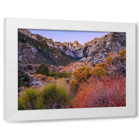 Mount Whitney-Sequoia National Park Inyo-National Forest-California White Modern Wood Framed Art Print by Fitzharris, Tim